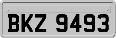 BKZ9493
