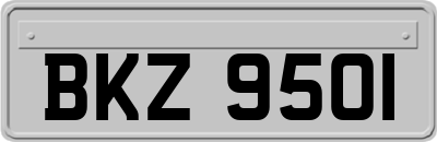 BKZ9501