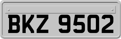 BKZ9502