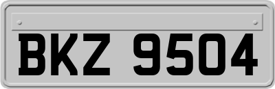 BKZ9504
