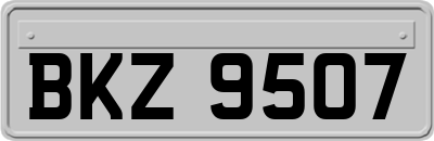 BKZ9507