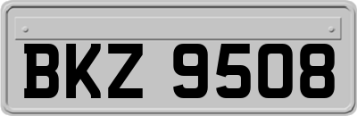 BKZ9508