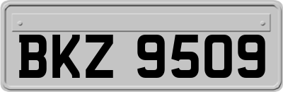 BKZ9509