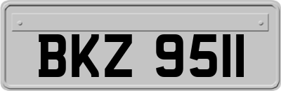 BKZ9511