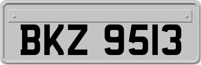 BKZ9513