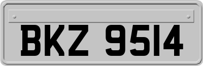 BKZ9514