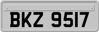BKZ9517