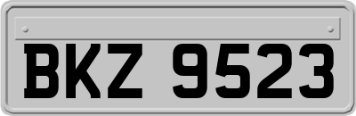 BKZ9523