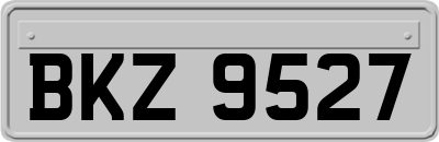 BKZ9527