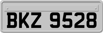 BKZ9528