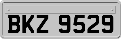 BKZ9529