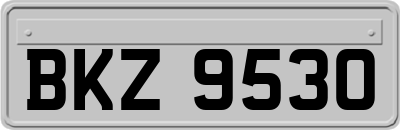 BKZ9530