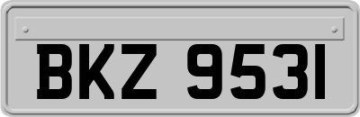 BKZ9531
