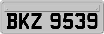 BKZ9539