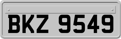 BKZ9549