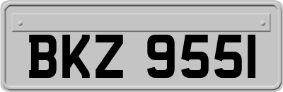 BKZ9551