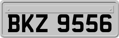 BKZ9556