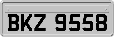 BKZ9558