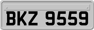 BKZ9559