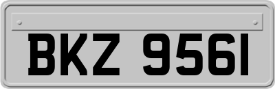 BKZ9561