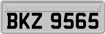 BKZ9565
