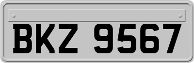 BKZ9567
