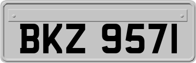 BKZ9571
