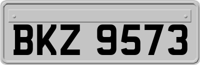 BKZ9573