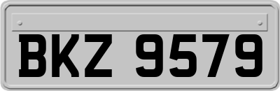 BKZ9579