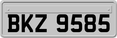BKZ9585