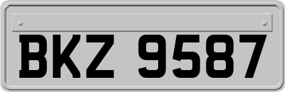 BKZ9587