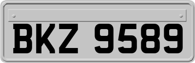 BKZ9589