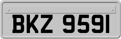 BKZ9591