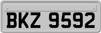 BKZ9592
