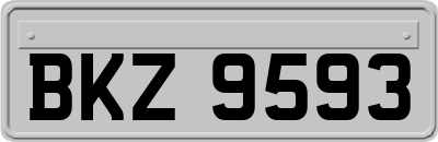 BKZ9593