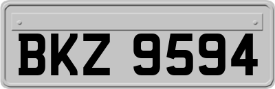 BKZ9594