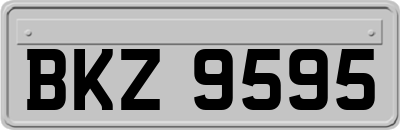 BKZ9595