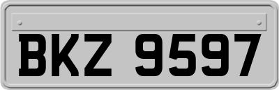 BKZ9597