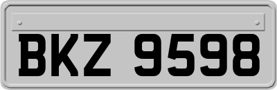 BKZ9598
