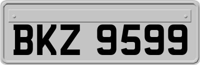 BKZ9599