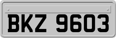 BKZ9603