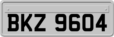 BKZ9604