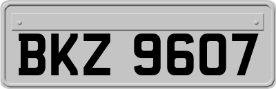 BKZ9607