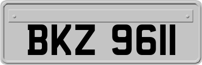 BKZ9611