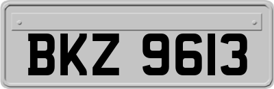 BKZ9613
