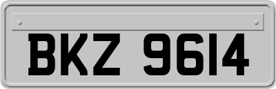 BKZ9614