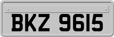 BKZ9615