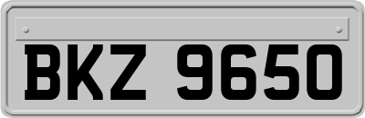 BKZ9650