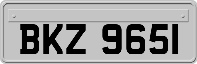 BKZ9651