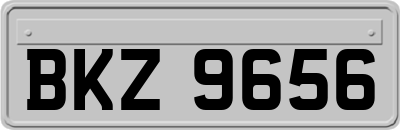 BKZ9656